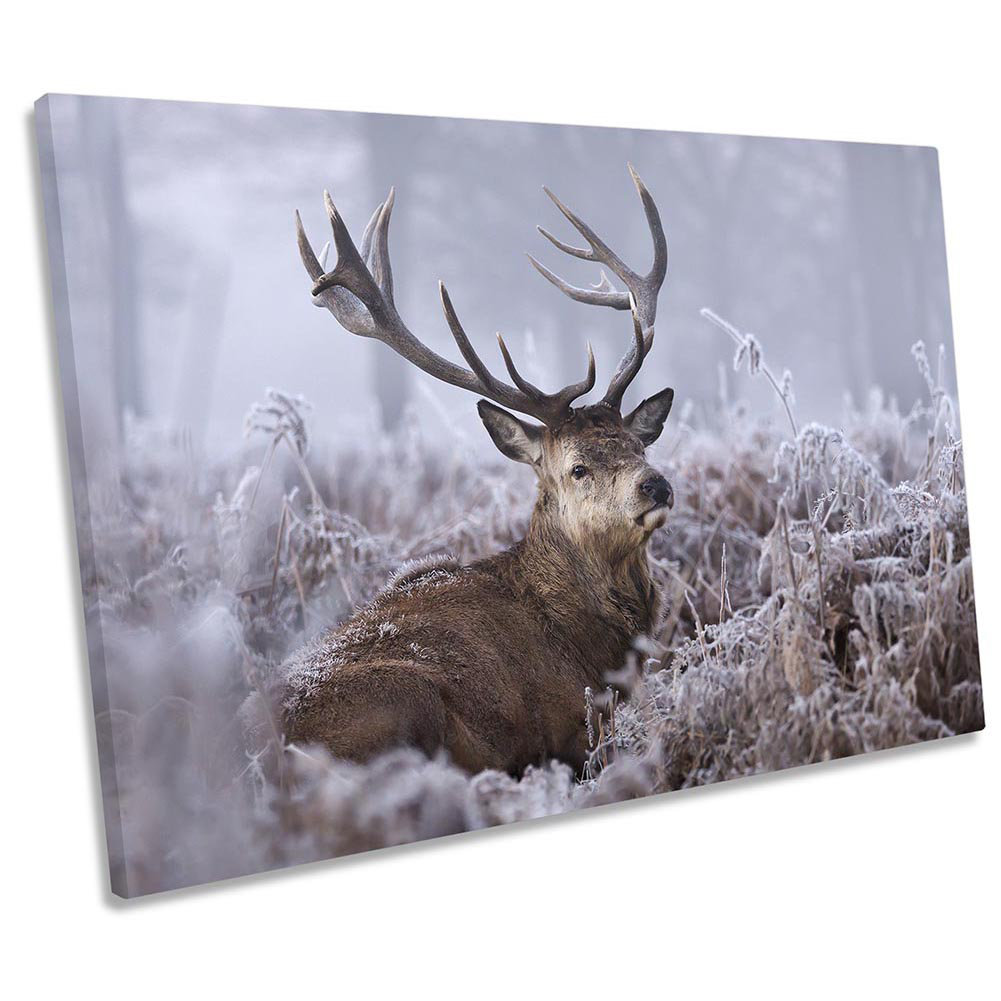 Stag Deer Wildlife Winter - Wrapped Canvas Print