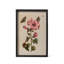 Jardin Boheme Botanical Prints
