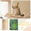  Wood Cat Tree w/Dual Cat Condos Sturdy Metal Tubes Frame Sisal Scratching Posts