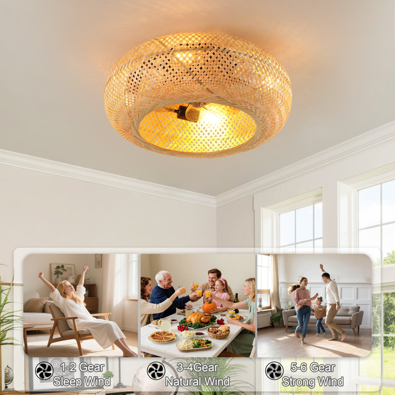 19.68'' Caged Ceiling Fan With 4 Lights Kit And Remote Control