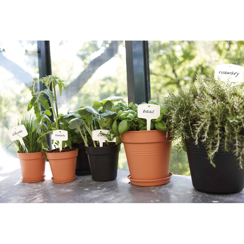Pot Planter
