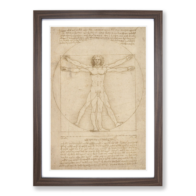 Vitruvian Man Vol.2 by Leonardo Da Vinci - Picture Frame Painting, 36cm H x 27cm W x 2cm D, Walnut