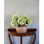 Real Touch Blue Hydrangea 18”-2066171874-2066171878