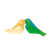 Yellow/Green