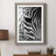 Zebra Colt - Photographie avec cadre photo-1635737520-1635737521