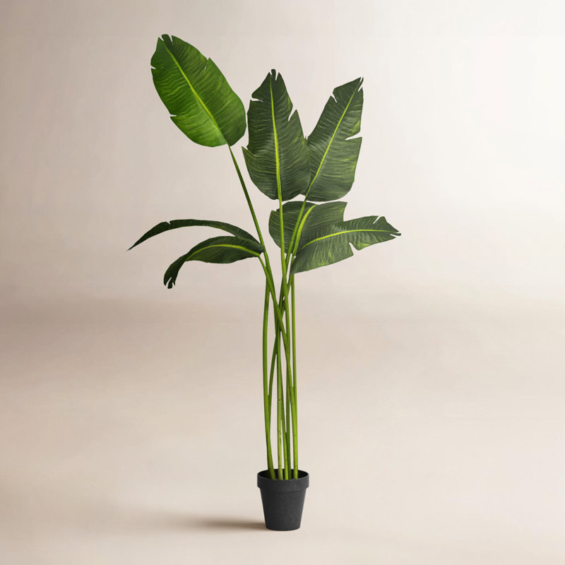 78'' Faux Banana Leaf Tree in Pot