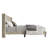 Duluth Upholstered Wingback Platform Bed-116107411-116107423