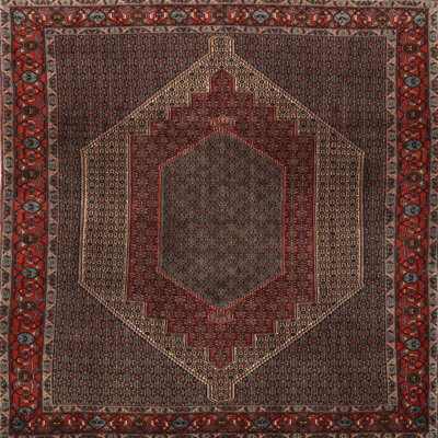 Oriental Indoor Rug