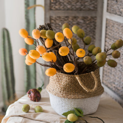 Tige de fruit pipa
