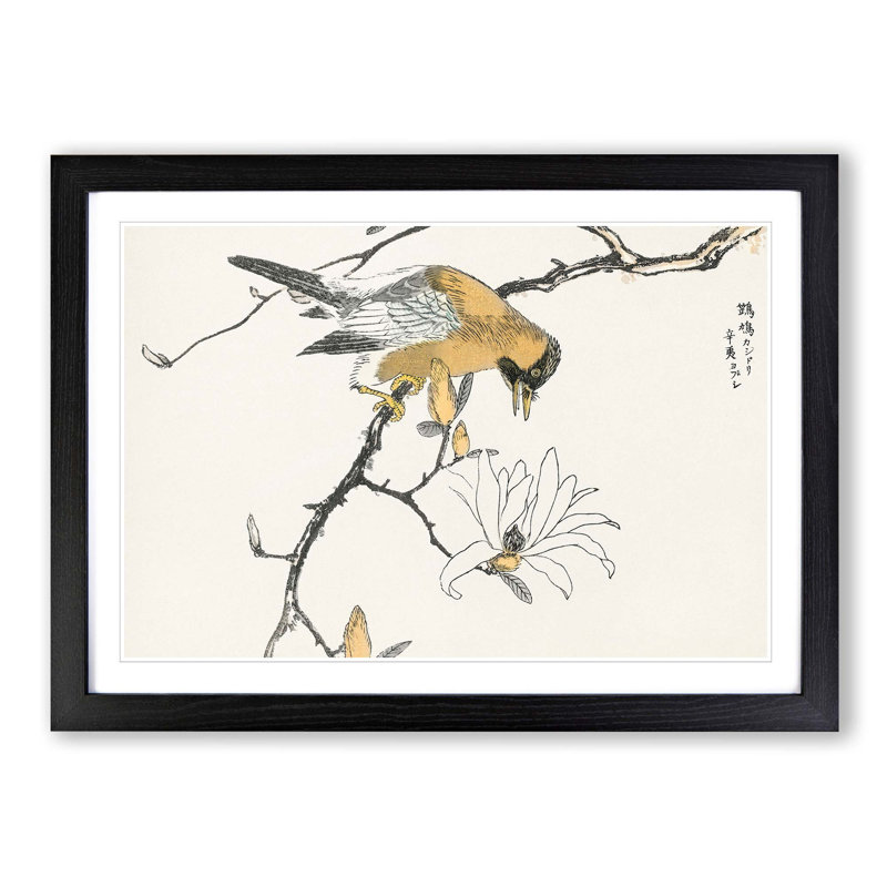 Tibetan Hoopoe Bird by Numata Kashu - Picture Frame Painting Print, 40cm H x 60cm W x 2cm D, Black