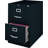 Aleceia 18'' Wide 2 -Drawer Steel File Cabinet-21308341
