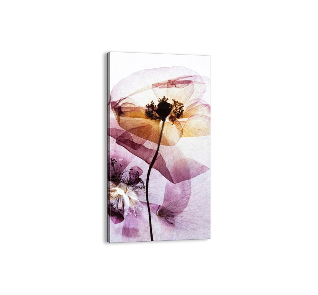 Leinwandbild - Grafikdruck „Flowers Body Filmstrip”