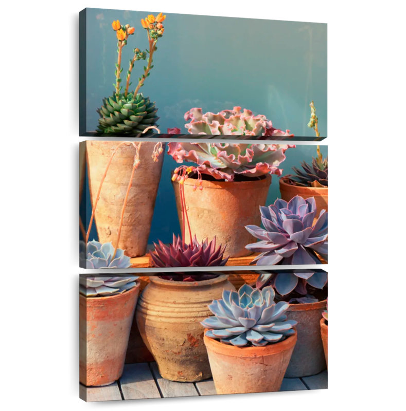 Harnek Succulent On Table, 38" H x 24" W