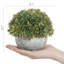 Herbe artificielle d'intérieur en pot en papier