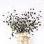 Arrangement floral de fausses baies en pot