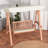 2 Person Porch Swing with Canopy