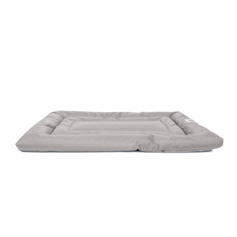 Coussin confortable Brutus Tough Resistant, Gris, Moyen (l 36 po x P 23 po x H 2 po)
