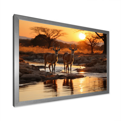 " Africian Deer "