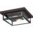 Westover 2-Light Western Bronze Flush Mount Light-63379784