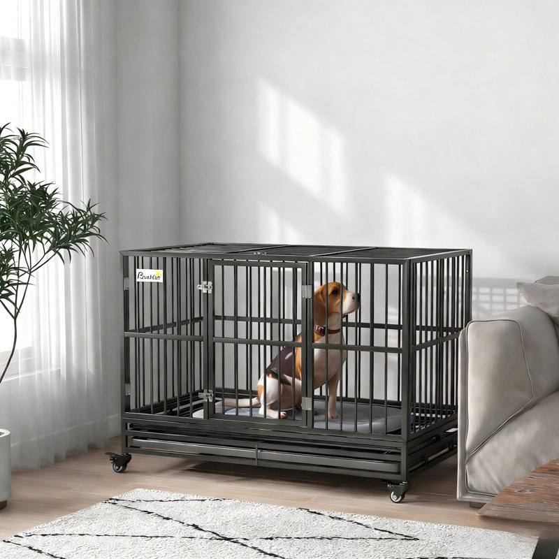 Double-Door Extra-Large Pet Crate With Locking Wheels