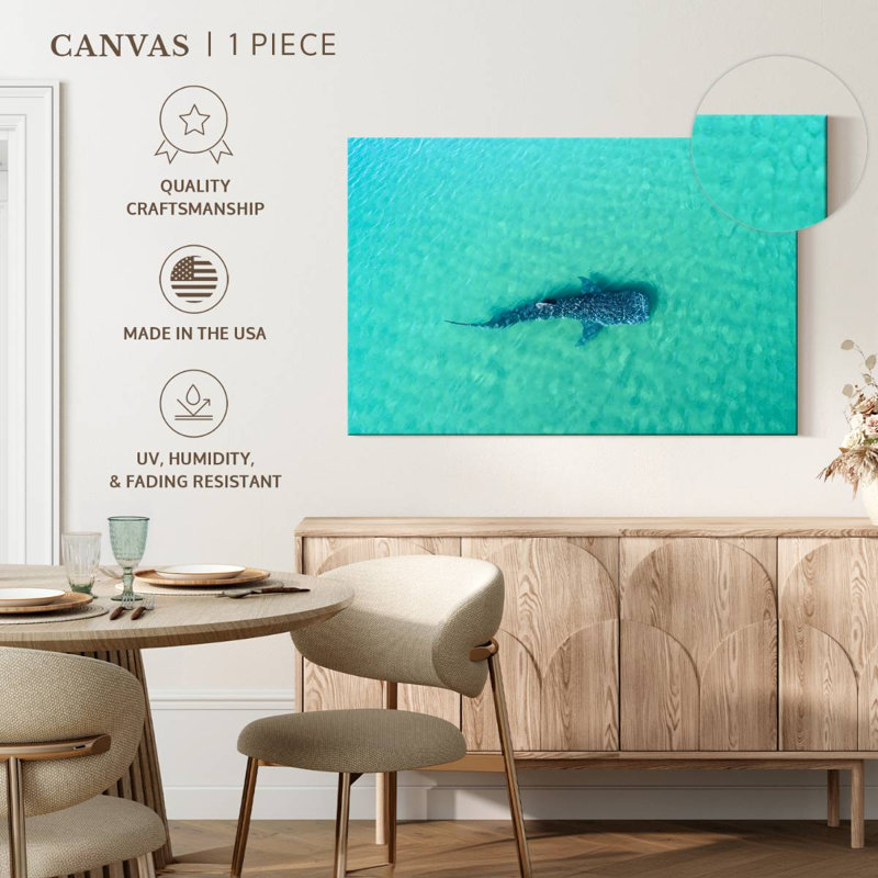 Crowle, requin baleine La Paz