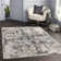 Adelyn Abstract Indoor Rug