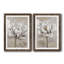 "Soft White I", ensemble de 2 reproductions d'art-1328921940-1263522796-1263522802