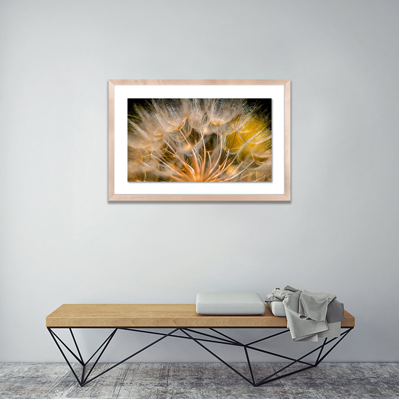 Float Away Print by Geoffrey Baris, 25" H x 40" W x 2.5" D, Natural