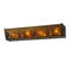 4 - Light Vanity Light