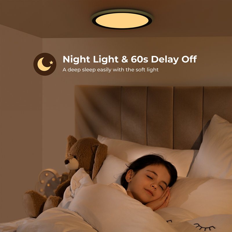 LED Dimmable RGB Flush Mount Ceiling Light with Remote Control