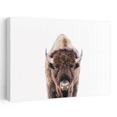 Contemporary Art Abstract Contemporary Bison Portrait Landscape Art