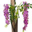 170cm Plant