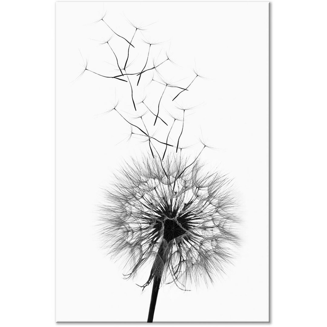 Leinwandbild Dandelion