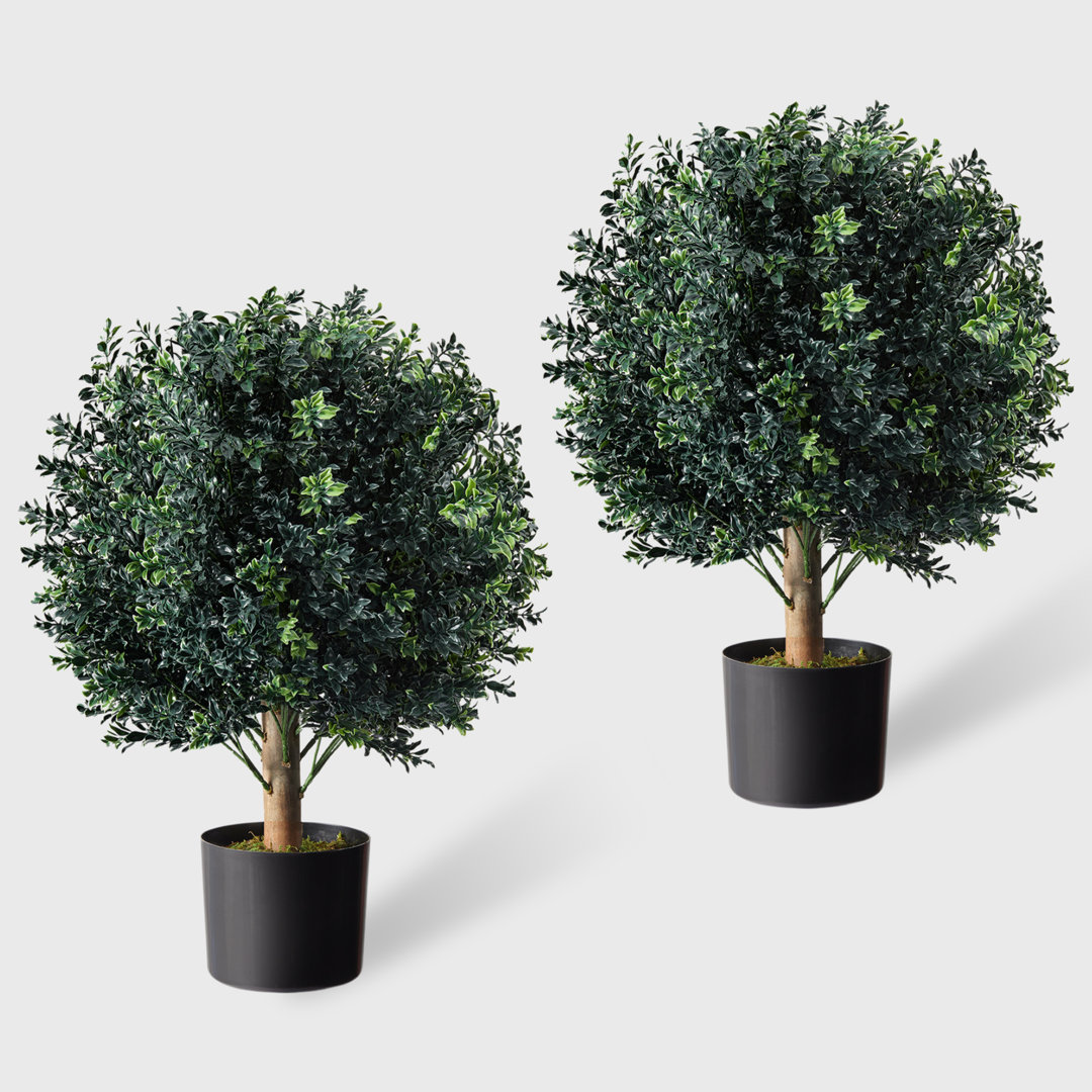 24" UV-Resistant Faux Boxwood Round Topiary Trees Outdoor (2 Pack) in Black Pot Primrue