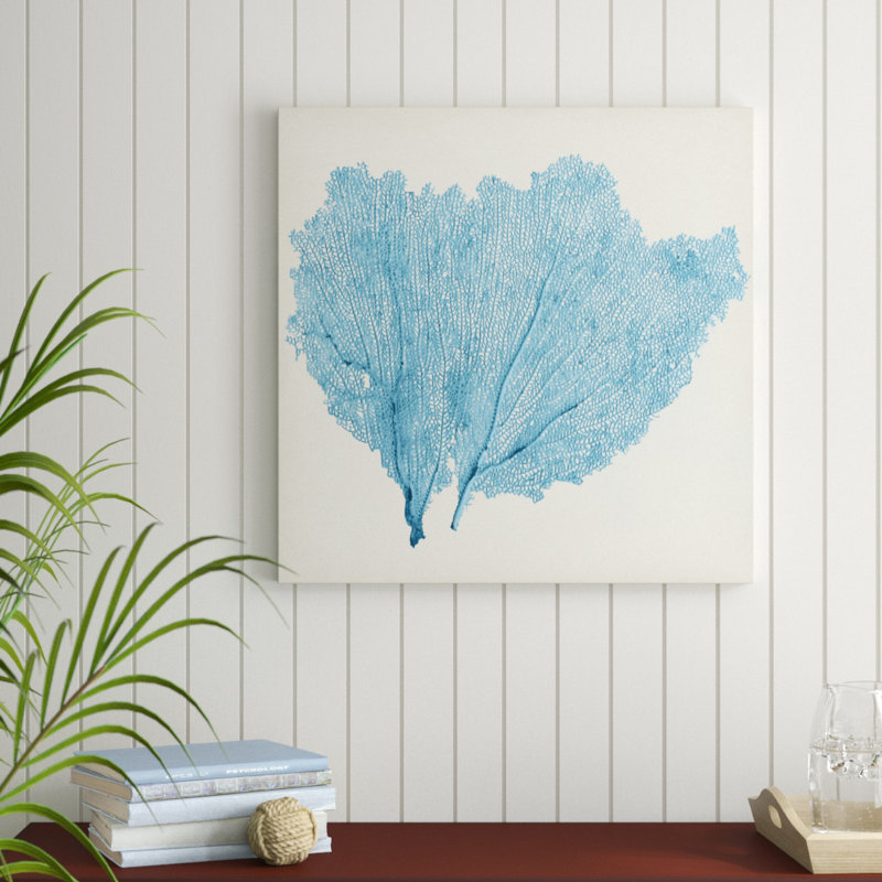 Sea Fan IV by Vision Studio - Wrapped Canvas Painting, 91cm H x 91cm W