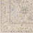 Jinhong Oriental Machine Made Power Loomed Polyester Area Rug in Beige-1335172869
