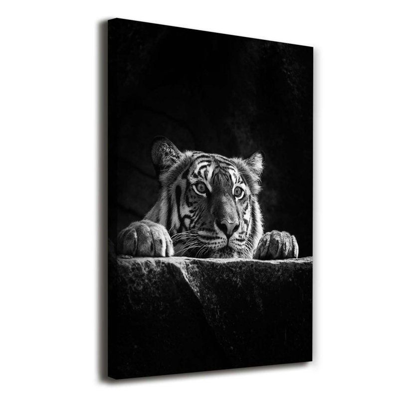 Tiger - Wrapped Canvas Print