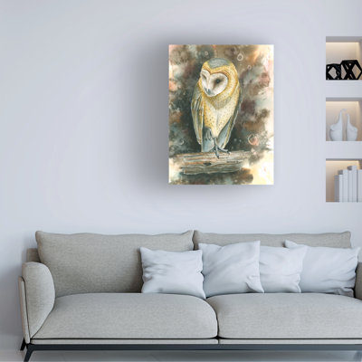 «Dave Bartholet Barn Owl», art sur toile