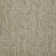 Apollo 24-in x 24-in Multi-Level Loop Adhesive Carpet Tile (48-sq ft)