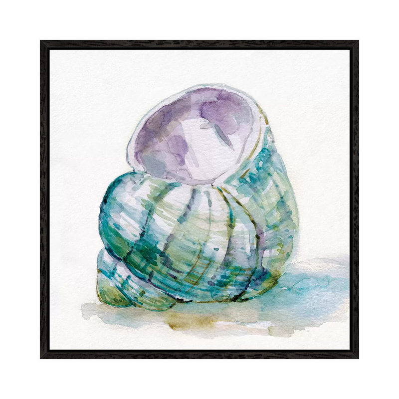 Malecon Shell V by Carol Robinson - Print on Canvas, 93.98 cm H x 93.98 cm W, Black Framed