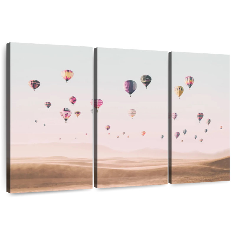 Mehar Air Balloons, 48" H x 74" W
