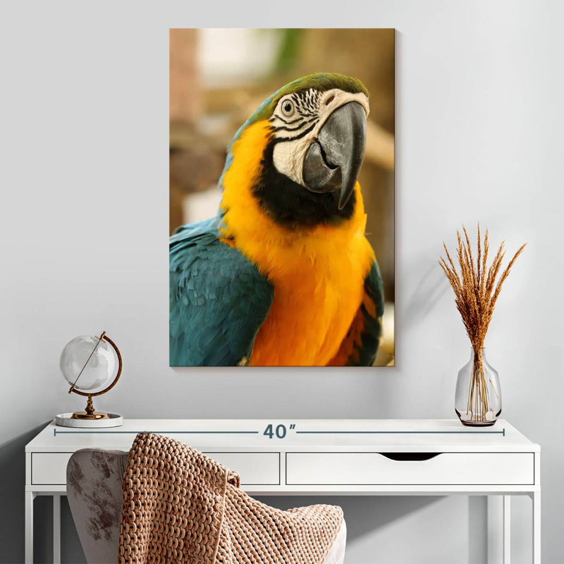 Brampt Exotic Macaw, 30" H x 20" W