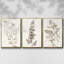 Neutral Botanical Study IV 3 pièces-97711578-97711577