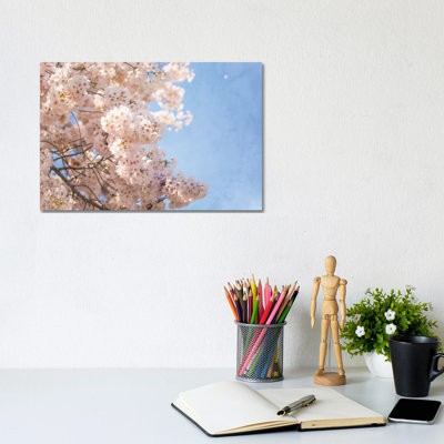 Cherry Blossoms 1 Piece Wrapped Canvas Wall Art