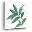 «Bay Leaf» par Chris Paschke-930725808