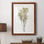 Farmhouse Pressed Flower II - peinture encadrée-1572627895-1572627901
