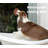Cattalaya Polyester Pet Bed