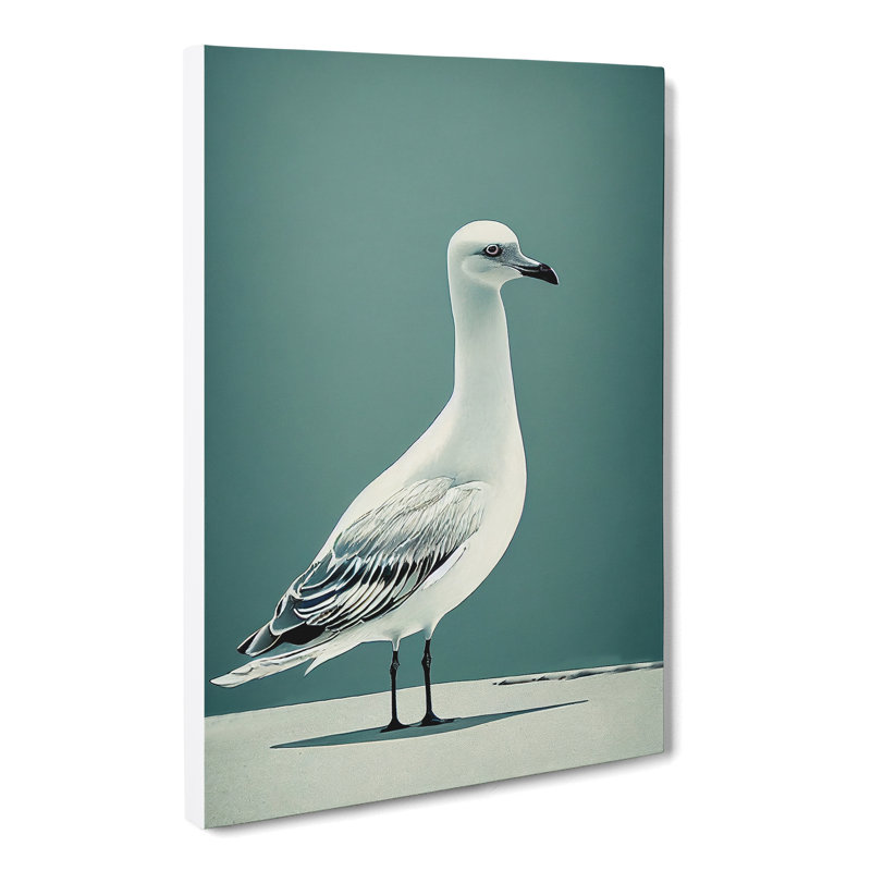Seagull Portrait Vol.2 - Wrapped Canvas, 50cm H x 35cm W x 3cm D