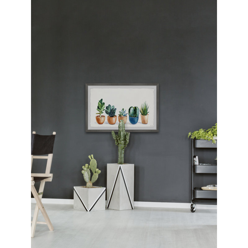 Growing Succulents - Single Picture Frame Painting, 20 cm H  x 30 cm W