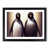 Black Framed selected
